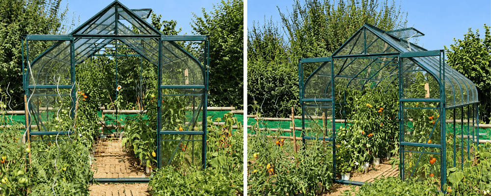 Deux vues d’une serre Aloé LAMS verte de 8,10 m², avec des plants de tomates en pleine terre et une allée centrale en briques.